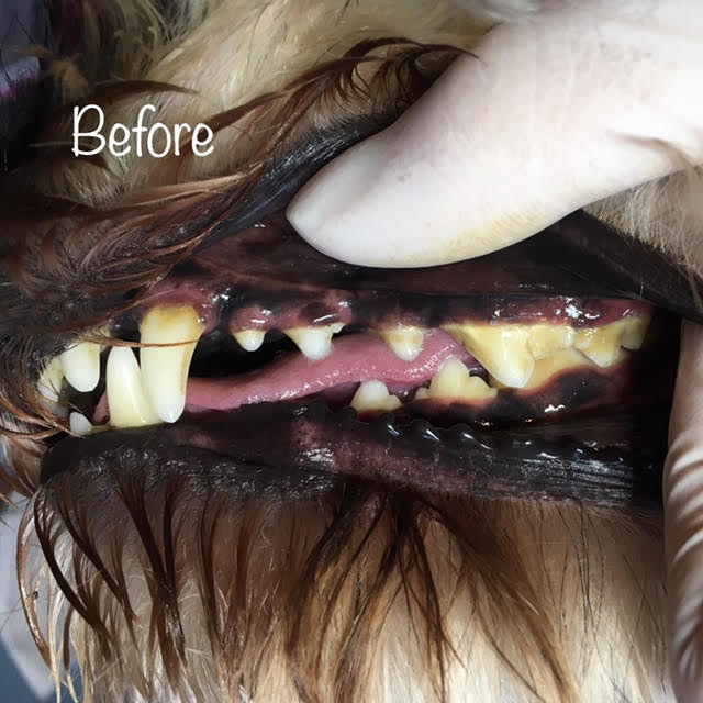Before Before