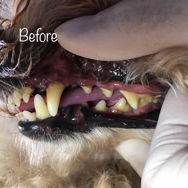 Before Before