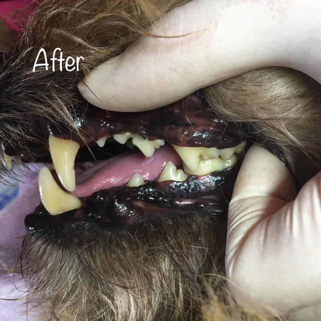 After After