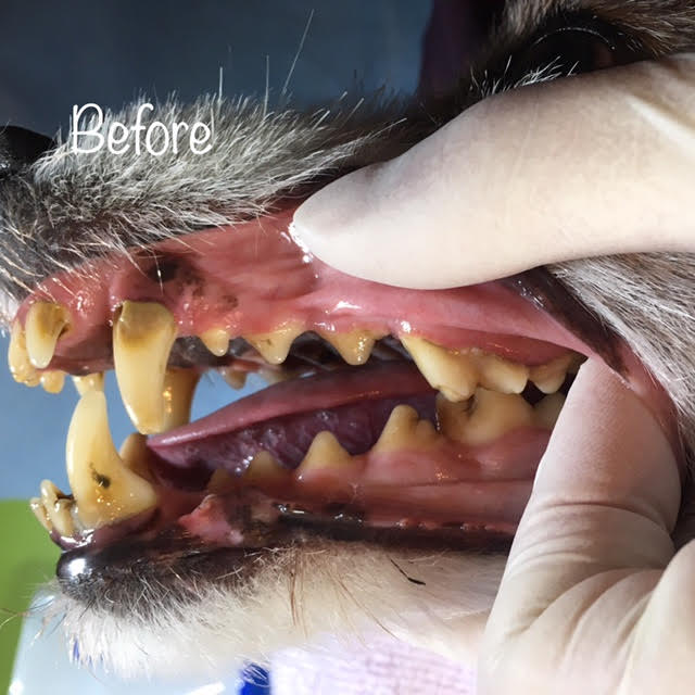 Before Before