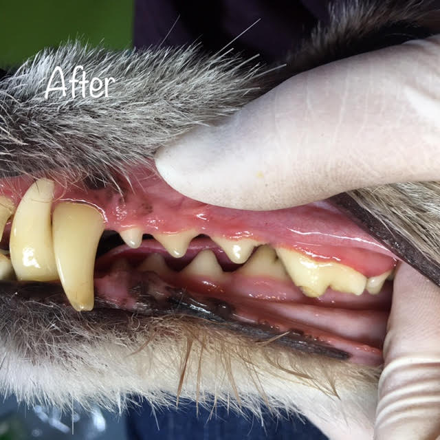 After After