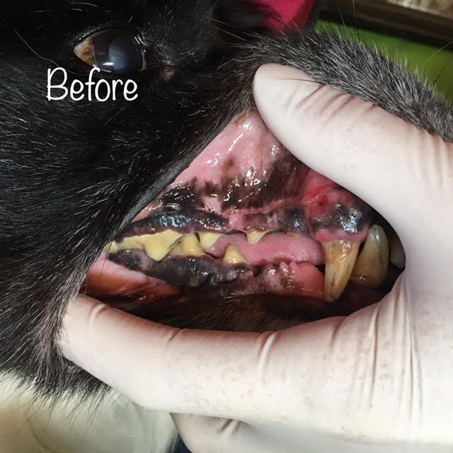 Before Before