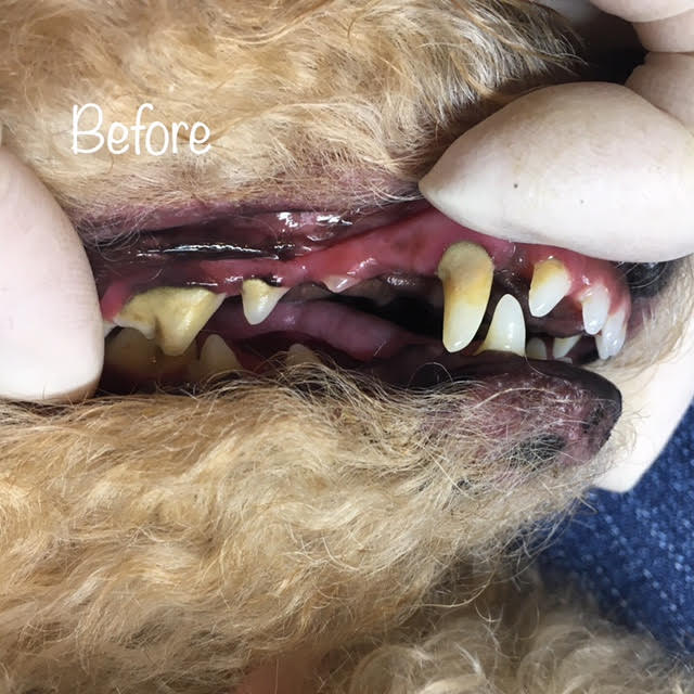 Before Before