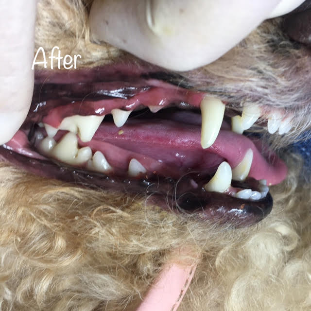 After After