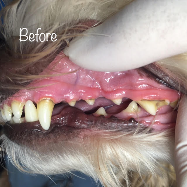 Before Before