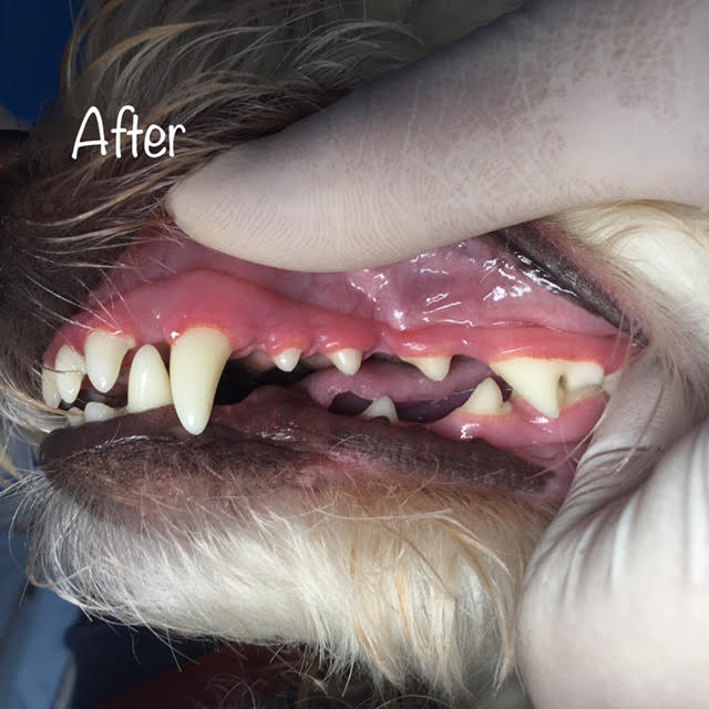 After After
