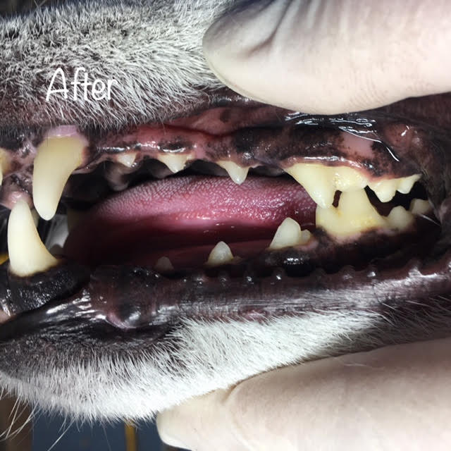 After After