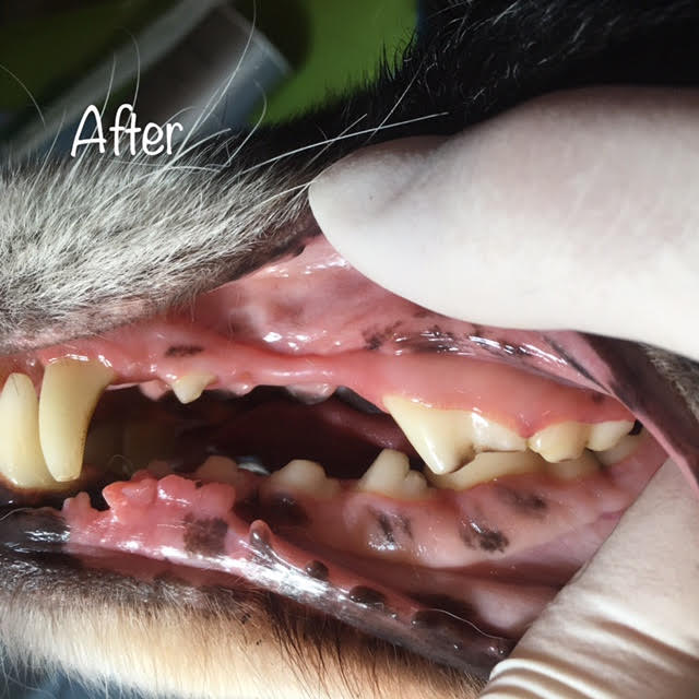 After After