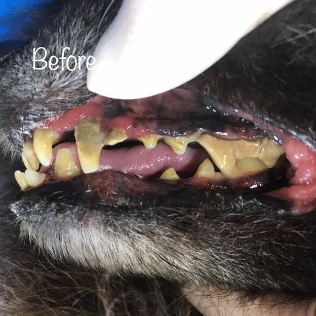 Before Before
