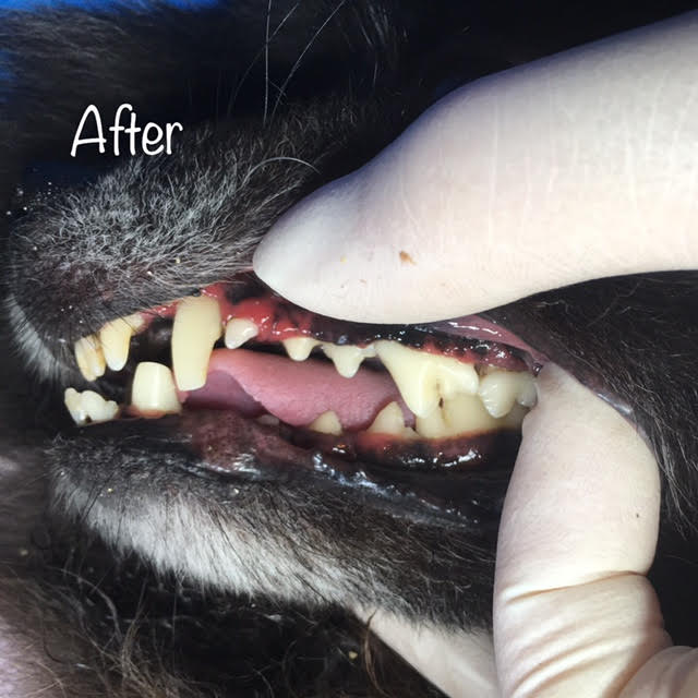 After After