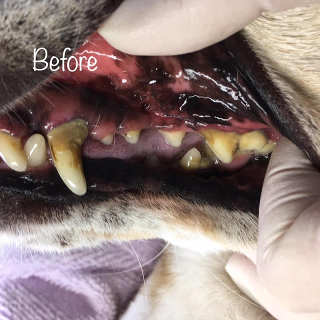 Before Before