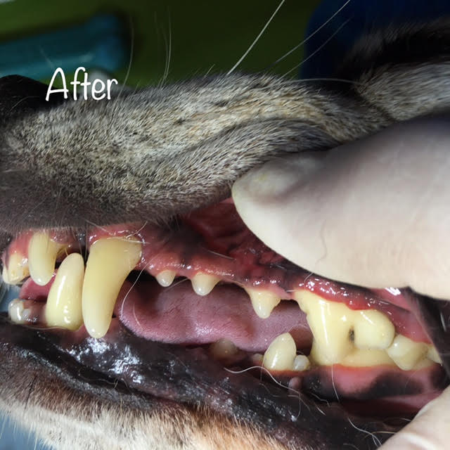 After After
