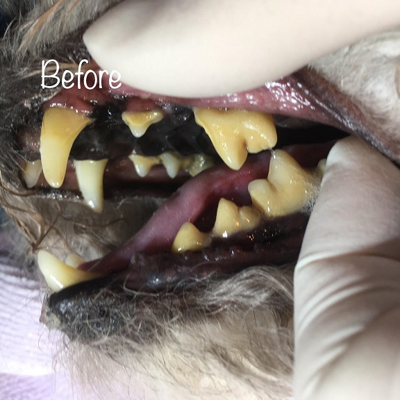 Before Before