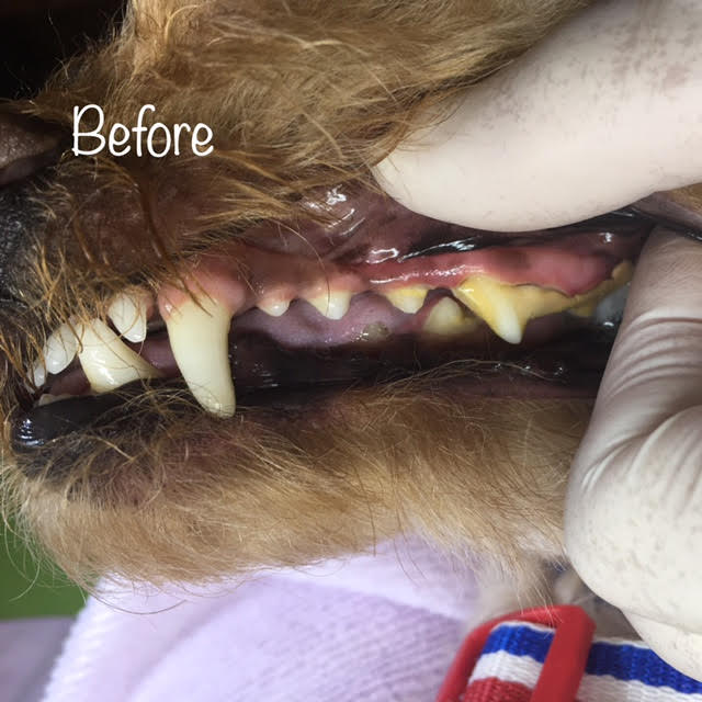 Before Before