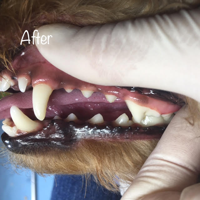 After After
