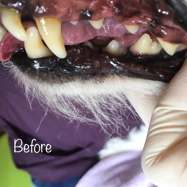 Before Before