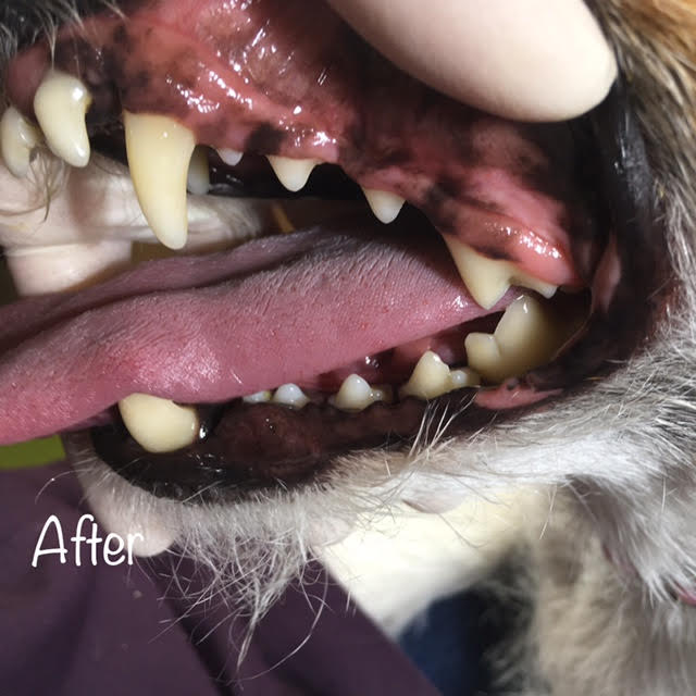 After After