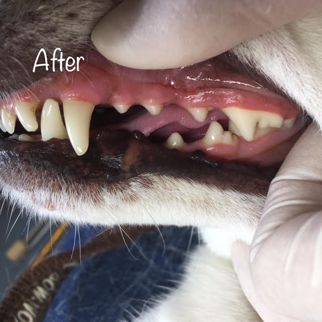 After After