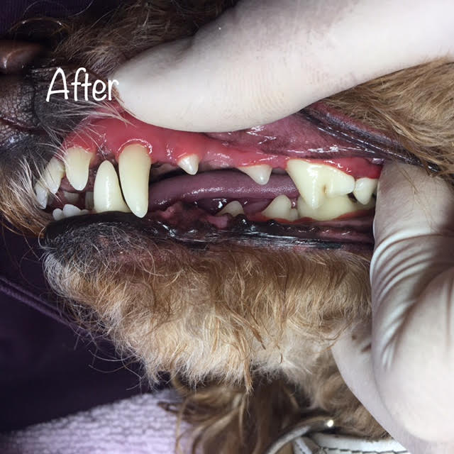 After After