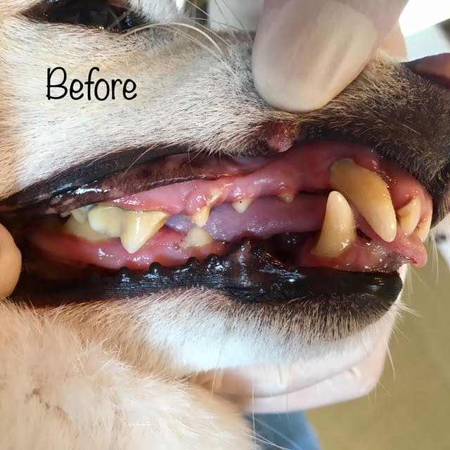 Before Before