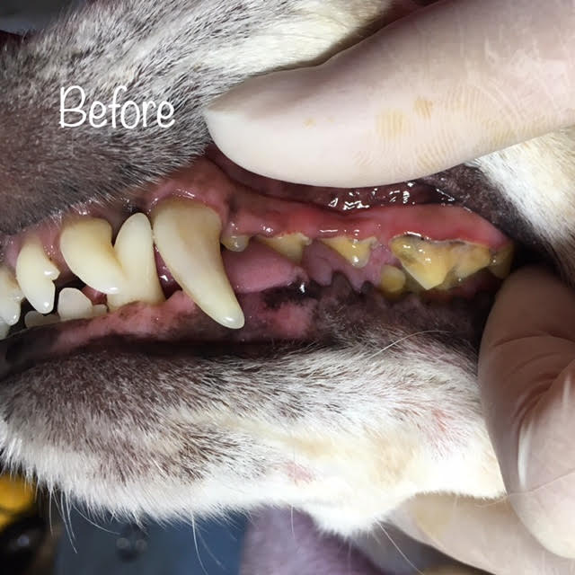Before Before