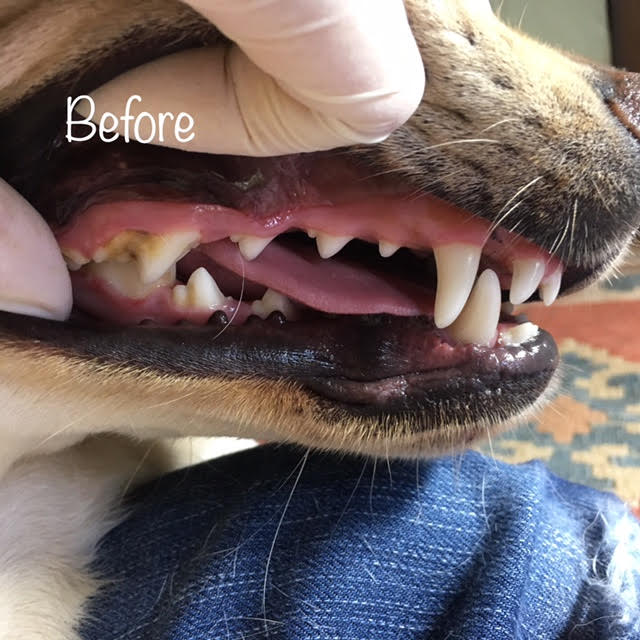 Before Before