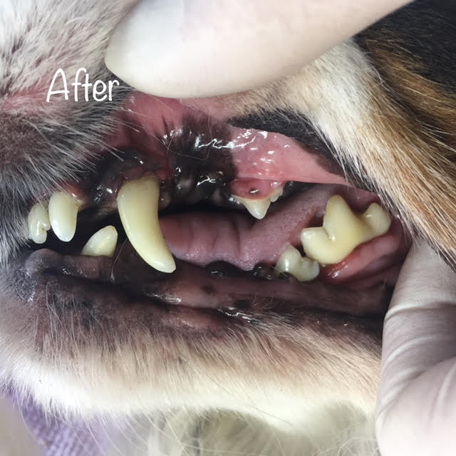 After After