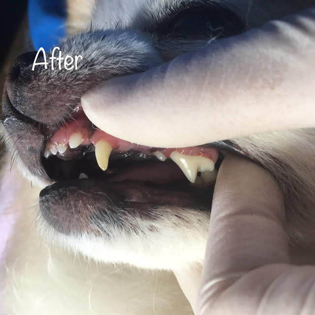 After After