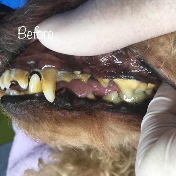 Before Before