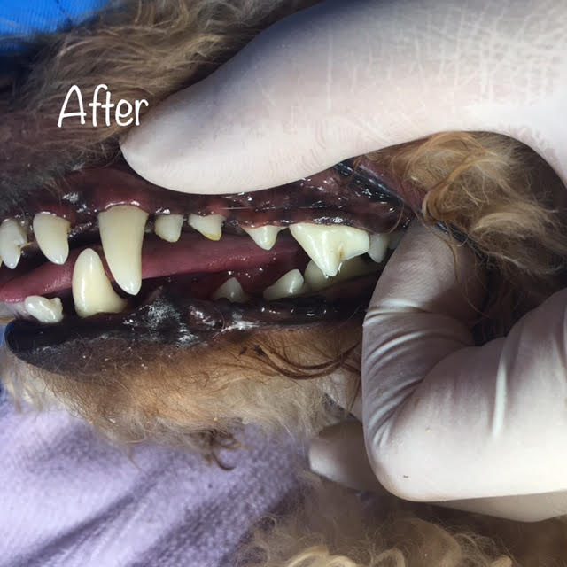 After After