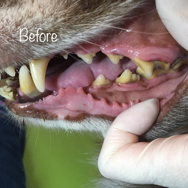 Before Before