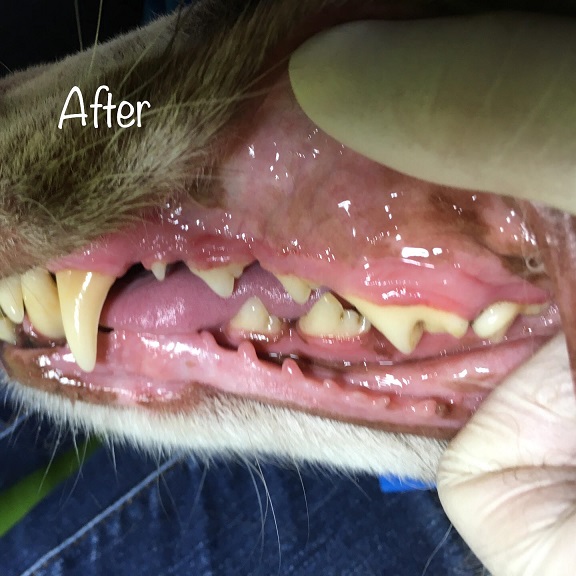 After After