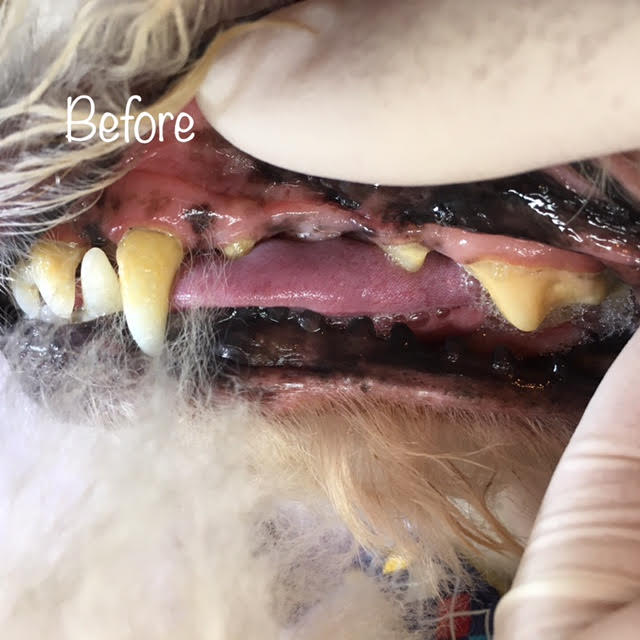 Before Before