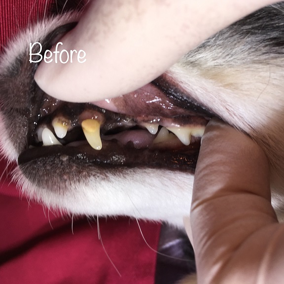 Before Before