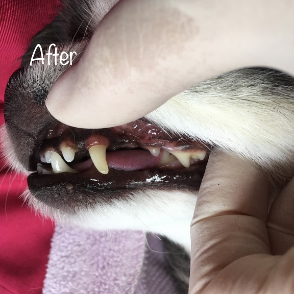 After After