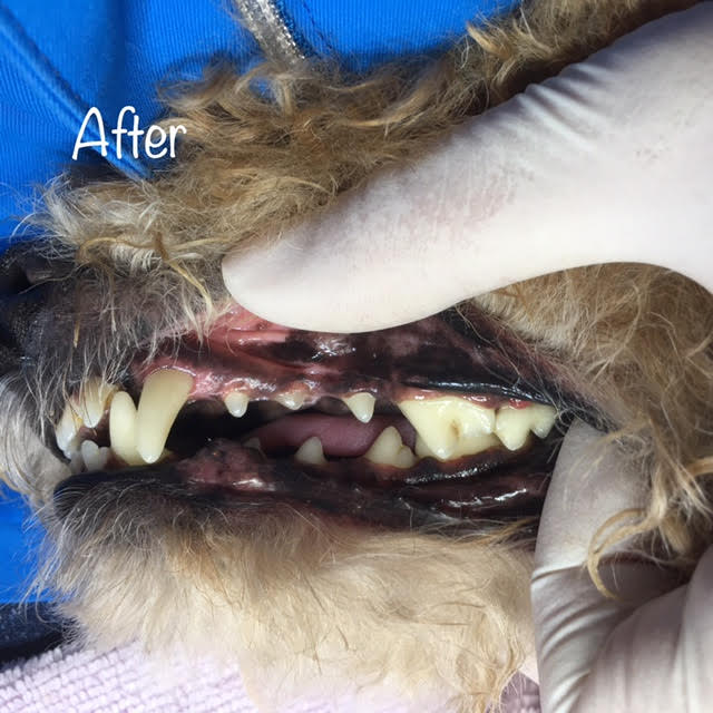 After After