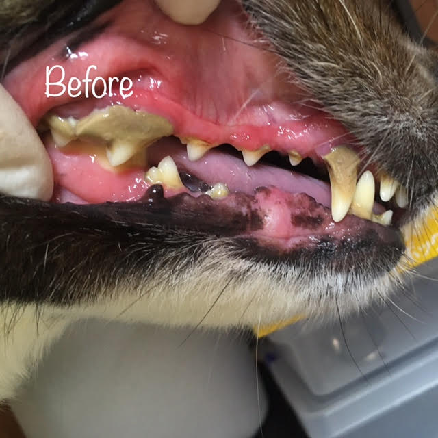 Before Before