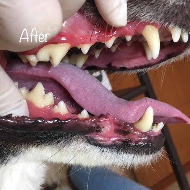 After After
