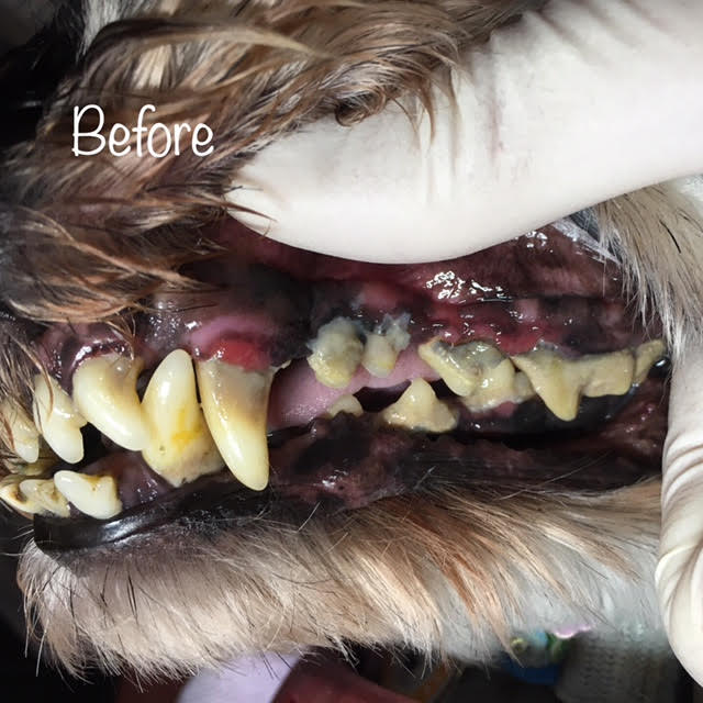 Before Before