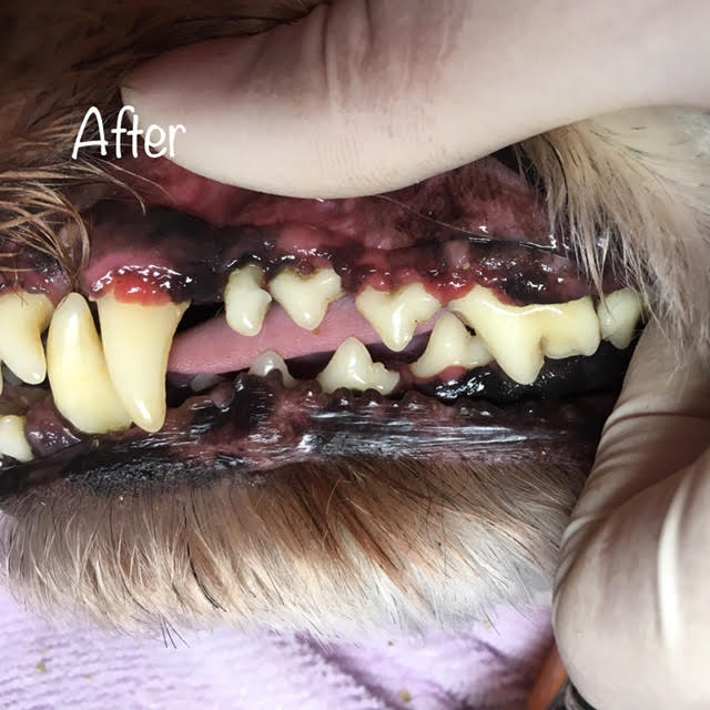 After After