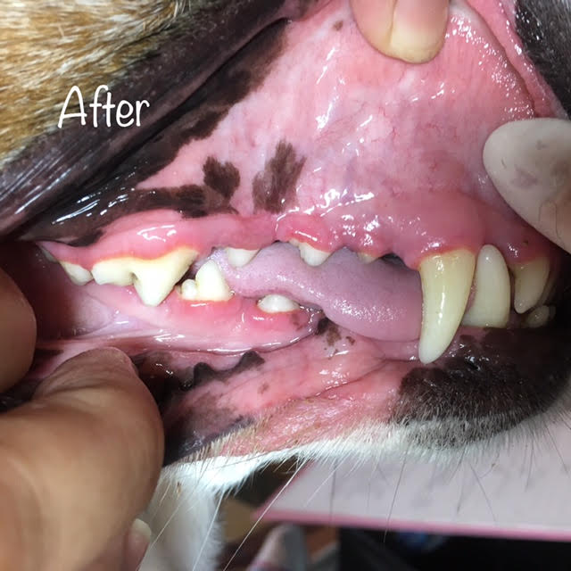 After After