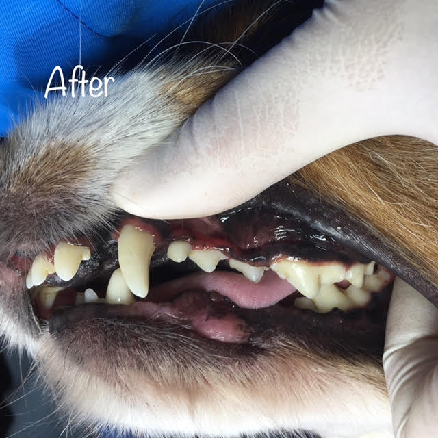 After After