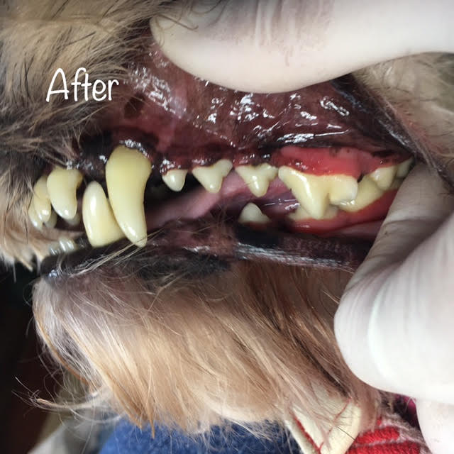After After