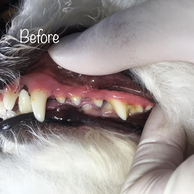 Before Before