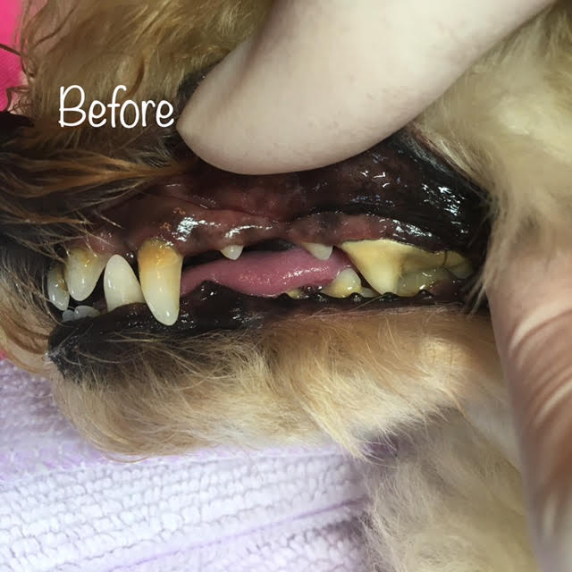 Before Before