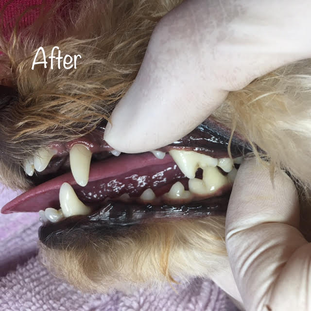 After After