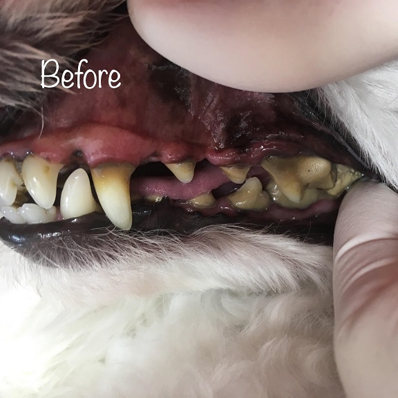 Before Before