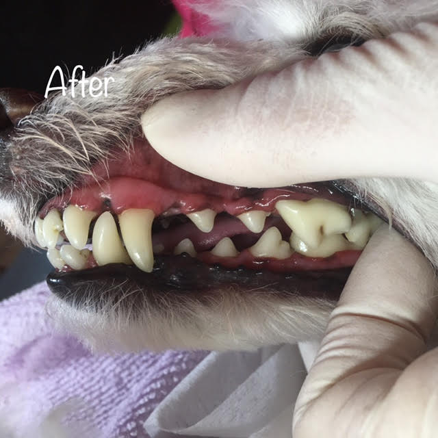 After After