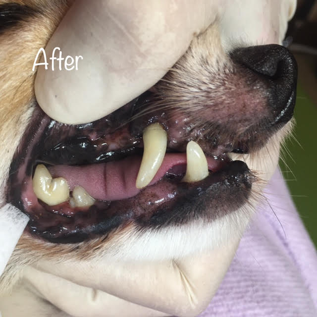 After After