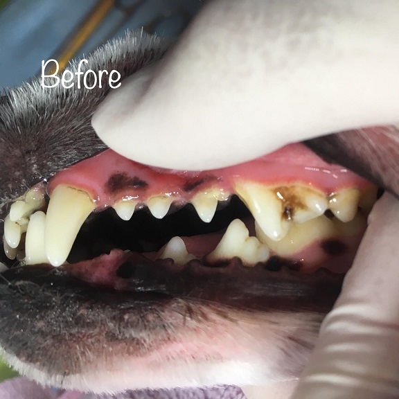 Before Before